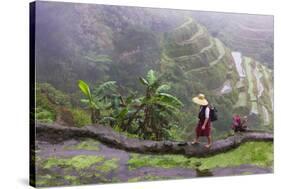 Igorot Woman, Rice Terraces, Agriculture, Philippine Cordilleras, Philippines-Keren Su-Stretched Canvas