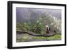 Igorot Woman, Rice Terraces, Agriculture, Philippine Cordilleras, Philippines-Keren Su-Framed Photographic Print