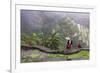 Igorot Woman, Rice Terraces, Agriculture, Philippine Cordilleras, Philippines-Keren Su-Framed Photographic Print