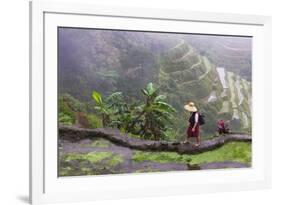 Igorot Woman, Rice Terraces, Agriculture, Philippine Cordilleras, Philippines-Keren Su-Framed Photographic Print