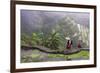 Igorot Woman, Rice Terraces, Agriculture, Philippine Cordilleras, Philippines-Keren Su-Framed Photographic Print