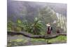 Igorot Woman, Rice Terraces, Agriculture, Philippine Cordilleras, Philippines-Keren Su-Mounted Photographic Print