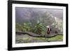 Igorot Woman, Rice Terraces, Agriculture, Philippine Cordilleras, Philippines-Keren Su-Framed Photographic Print