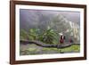 Igorot Woman, Rice Terraces, Agriculture, Philippine Cordilleras, Philippines-Keren Su-Framed Photographic Print