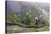 Igorot Woman, Rice Terraces, Agriculture, Philippine Cordilleras, Philippines-Keren Su-Stretched Canvas