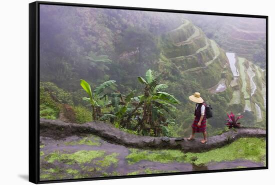 Igorot Woman, Rice Terraces, Agriculture, Philippine Cordilleras, Philippines-Keren Su-Framed Stretched Canvas