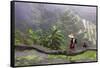Igorot Woman, Rice Terraces, Agriculture, Philippine Cordilleras, Philippines-Keren Su-Framed Stretched Canvas