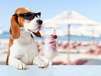 Cute Dog in Sunglasses Drink Cocktail-igorr-Photographic Print