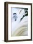 Iguacu (Iguazu) (Iguassu) Falls in Full Flow, UNESCO World Heritage Site, Argentina, South America-Alex Robinson-Framed Photographic Print