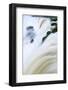 Iguacu (Iguazu) (Iguassu) Falls in Full Flow, UNESCO World Heritage Site, Argentina, South America-Alex Robinson-Framed Photographic Print