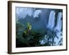 Iguacu National Park, Parana State, Iguacu Falls, Brazil-Art Wolfe-Framed Photographic Print