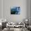 Iguacu National Park, Parana State, Iguacu Falls, Brazil-Art Wolfe-Photographic Print displayed on a wall