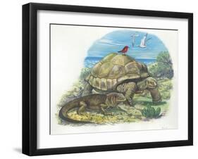 Iguana and Giant Tortoise-null-Framed Giclee Print