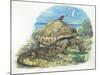 Iguana and Giant Tortoise-null-Mounted Giclee Print