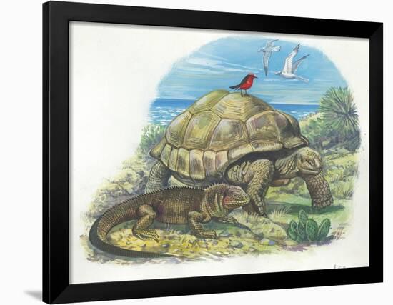 Iguana and Giant Tortoise-null-Framed Giclee Print
