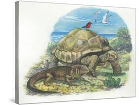 Iguana and Giant Tortoise-null-Stretched Canvas