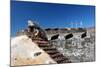 Iguana Basking, San Cristobal Fort, San Juan, PR-George Oze-Mounted Photographic Print