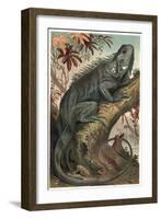 Iguana by Alfred Edmund Brehm-Stefano Bianchetti-Framed Giclee Print