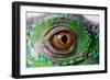 Iguana Eye-NagyDodo-Framed Photographic Print