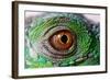 Iguana Eye-NagyDodo-Framed Photographic Print