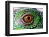 Iguana Eye-NagyDodo-Framed Photographic Print