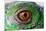 Iguana Eye-NagyDodo-Mounted Photographic Print