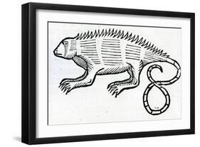 Iguana from 'La Historia General De Las Indias' 1547-Christopher Columbus-Framed Giclee Print