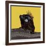 Iguana Gold-Sharon Turner-Framed Art Print