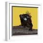 Iguana Gold-Sharon Turner-Framed Art Print