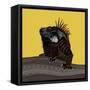 Iguana Gold-Sharon Turner-Framed Stretched Canvas