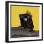 Iguana Gold-Sharon Turner-Framed Art Print