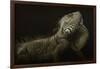 Iguana Profile-Aleksandar Milosavljevic-Framed Giclee Print