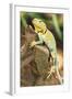 Iguana-null-Framed Photographic Print