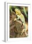 Iguana-null-Framed Photographic Print