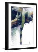 Iguana-Durwood Coffey-Framed Giclee Print