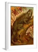 Iguana-F.W. Kuhnert-Framed Art Print