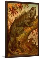 Iguana-F.W. Kuhnert-Framed Art Print