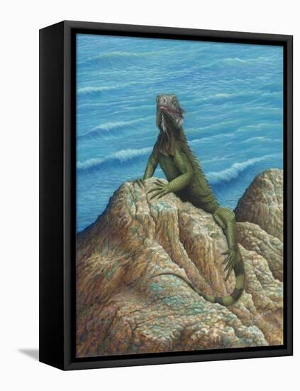 Iguana-Robert Wavra-Framed Stretched Canvas