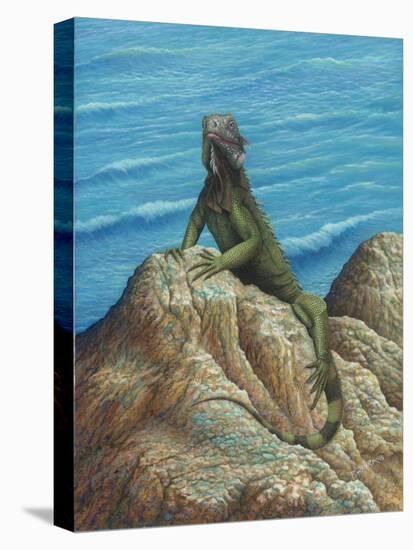 Iguana-Robert Wavra-Stretched Canvas