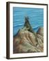 Iguana-Robert Wavra-Framed Giclee Print