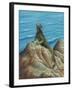 Iguana-Robert Wavra-Framed Giclee Print