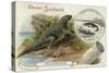 Iguanadon and Iguana Tuberinlata-null-Stretched Canvas