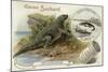 Iguanadon and Iguana Tuberinlata-null-Mounted Giclee Print