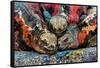 Iguanas, Espanola Island, Galapagos Islands, Ecuador, South America-Laura Grier-Framed Stretched Canvas