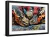 Iguanas, Espanola Island, Galapagos Islands, Ecuador, South America-Laura Grier-Framed Photographic Print