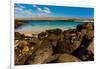 Iguanas on Espanola Island, Galapagos Islands, UNESCO World Heritage Site, Ecuador, South America-Laura Grier-Framed Photographic Print