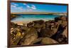 Iguanas on Espanola Island, Galapagos Islands, UNESCO World Heritage Site, Ecuador, South America-Laura Grier-Framed Photographic Print