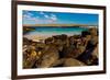 Iguanas on Espanola Island, Galapagos Islands, UNESCO World Heritage Site, Ecuador, South America-Laura Grier-Framed Photographic Print