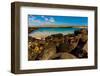 Iguanas on Espanola Island, Galapagos Islands, UNESCO World Heritage Site, Ecuador, South America-Laura Grier-Framed Photographic Print