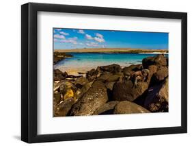 Iguanas on Espanola Island, Galapagos Islands, UNESCO World Heritage Site, Ecuador, South America-Laura Grier-Framed Photographic Print